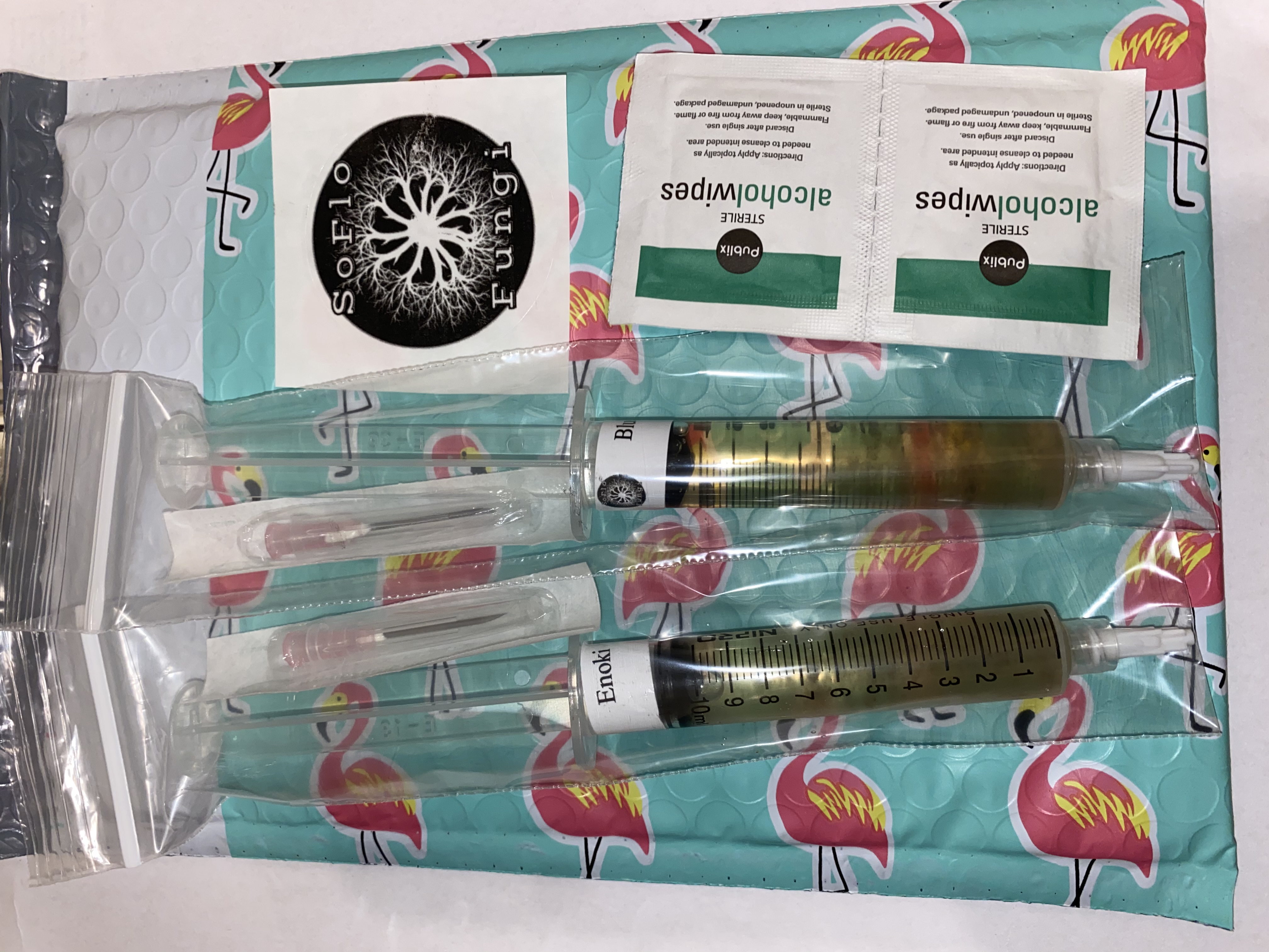 Chicken of the Woods (Laetiporus sulphureus) - Liquid Culture Syringe